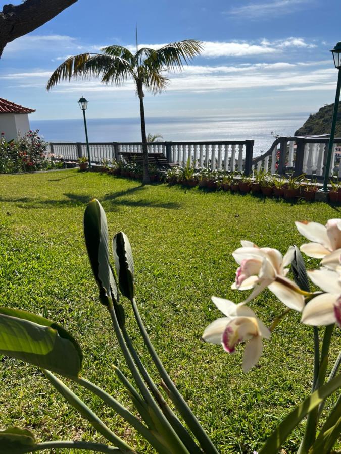 Tropical Garden Villa Arco da Calheta  Exterior foto